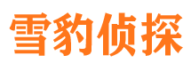 平舆侦探公司